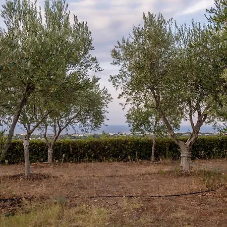 Il Carrubo Polignano a Mare